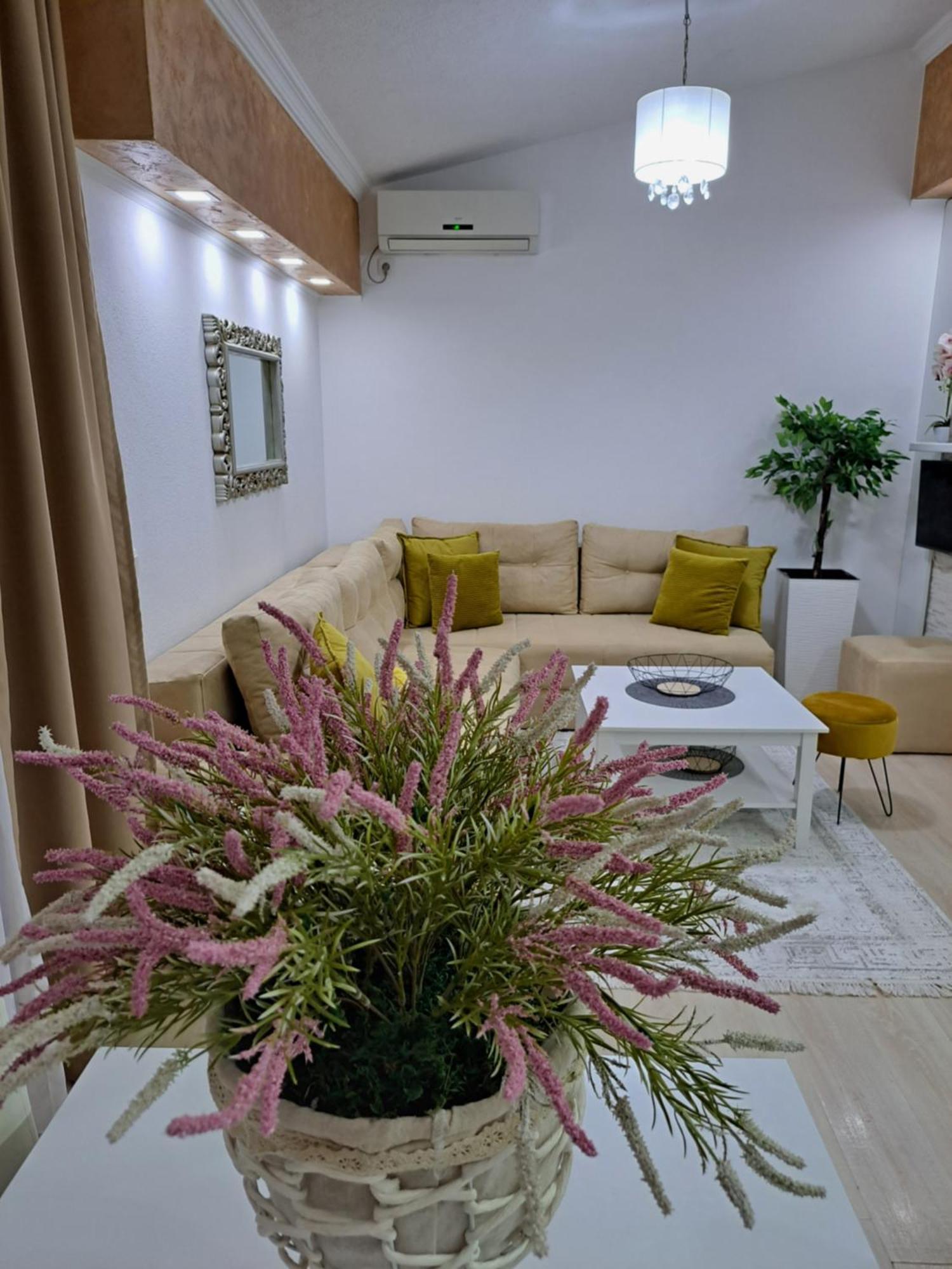 Apartments Pepdjonovic Ulcinj Buitenkant foto